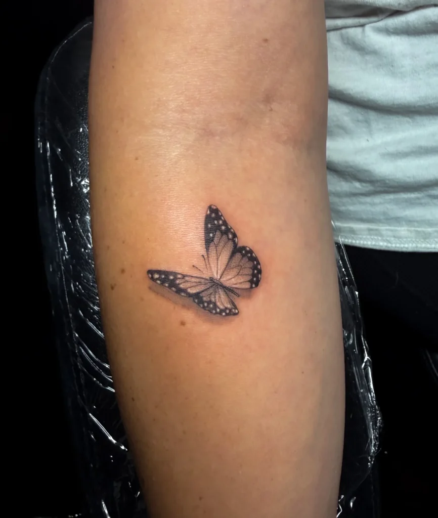 3D Micro Realism Butterfly with Drop Shadow