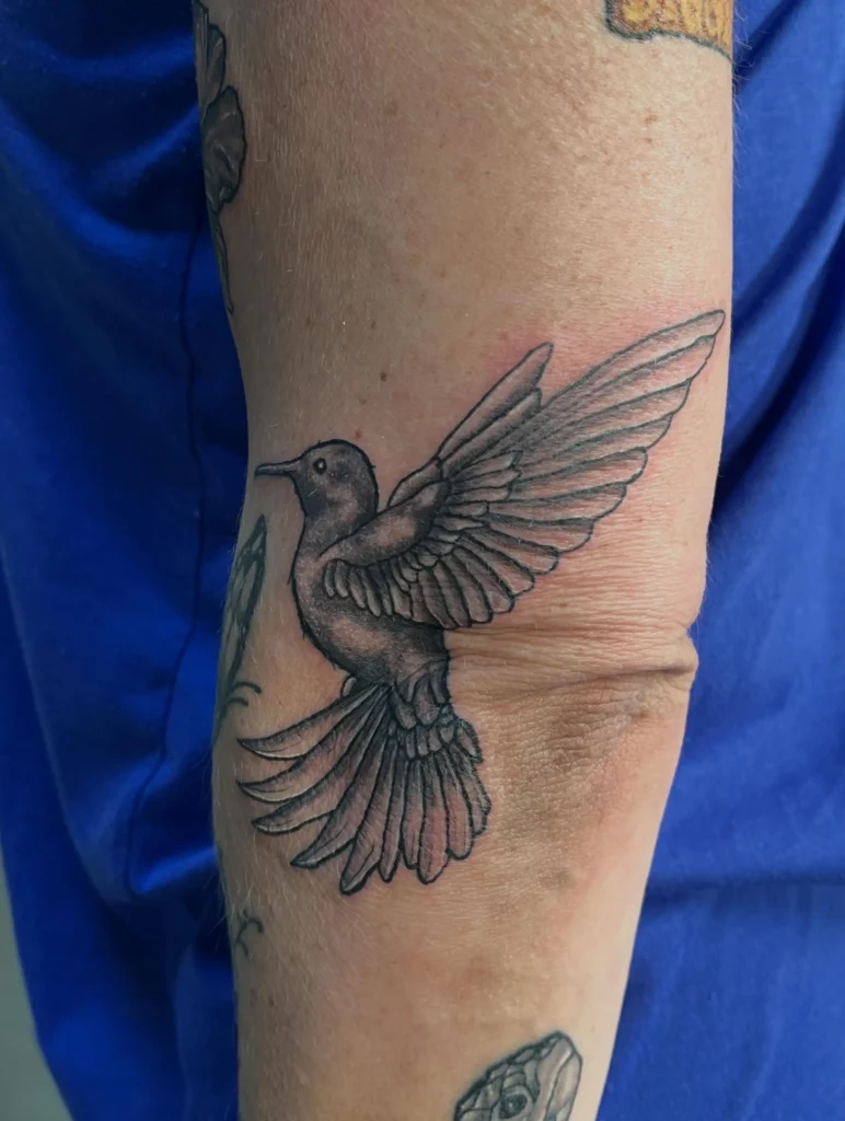 Hummingbird in Flight Pose