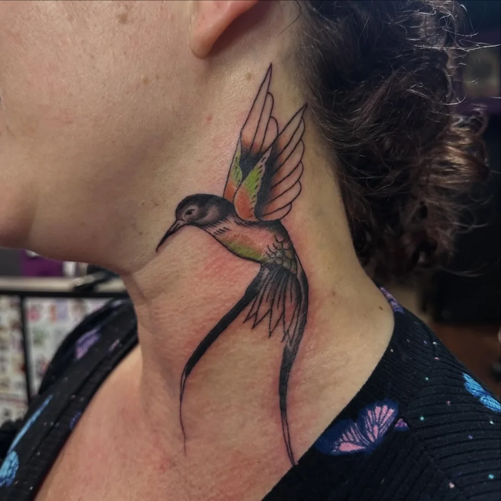 Hummingbird with Tapered Tail