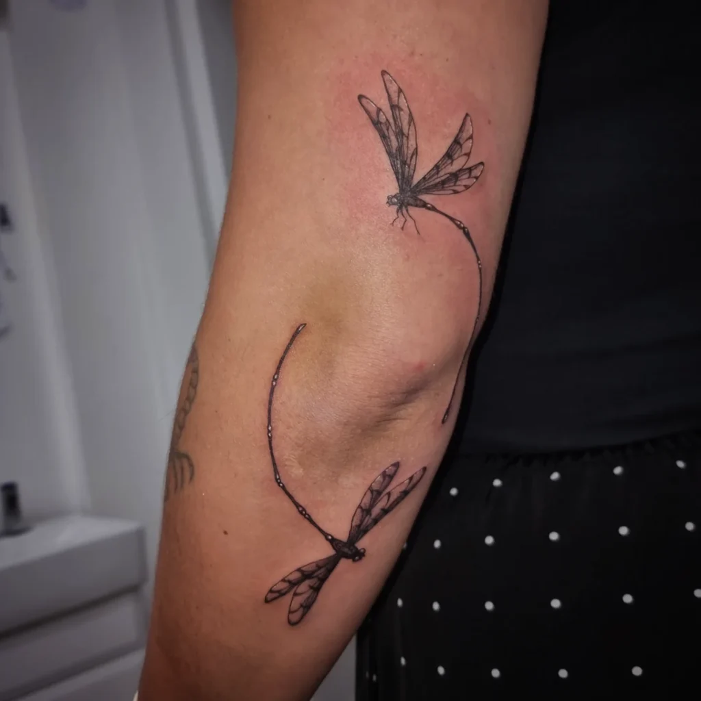 Minimalist Fine-Line Dragonflies