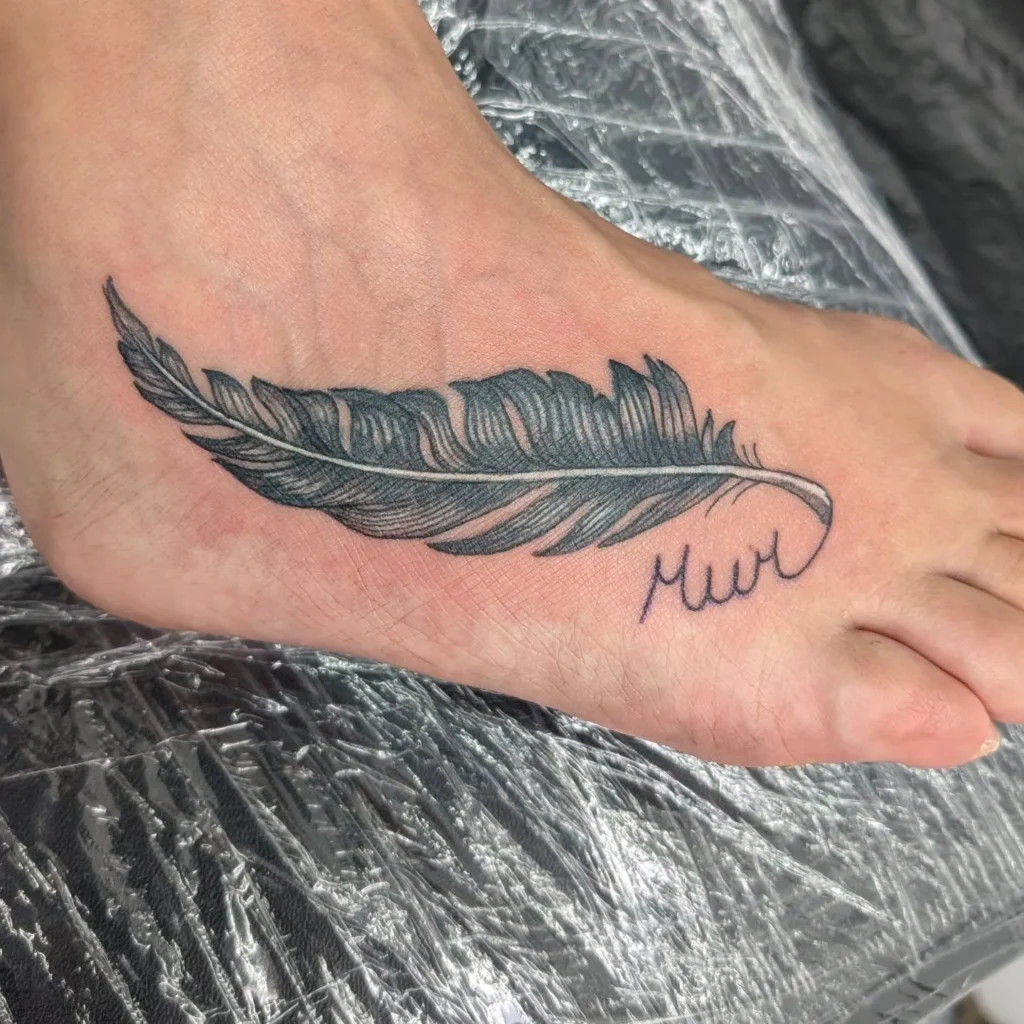 Soft Shaded Feather with Integrated Script