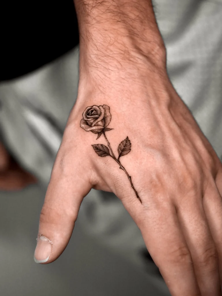 Minimalist Micro Realism Rose