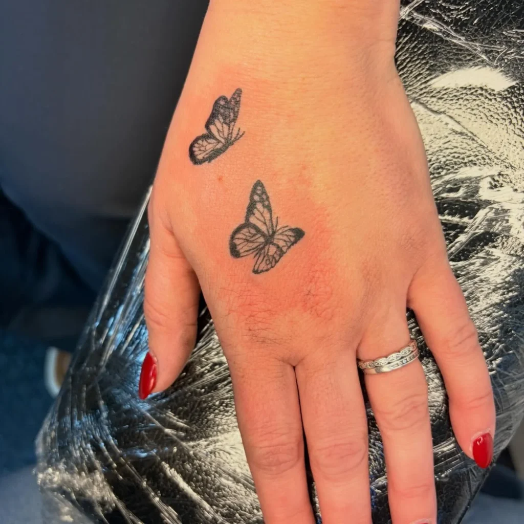 Minimalist Twin Butterflies in Black and Grey