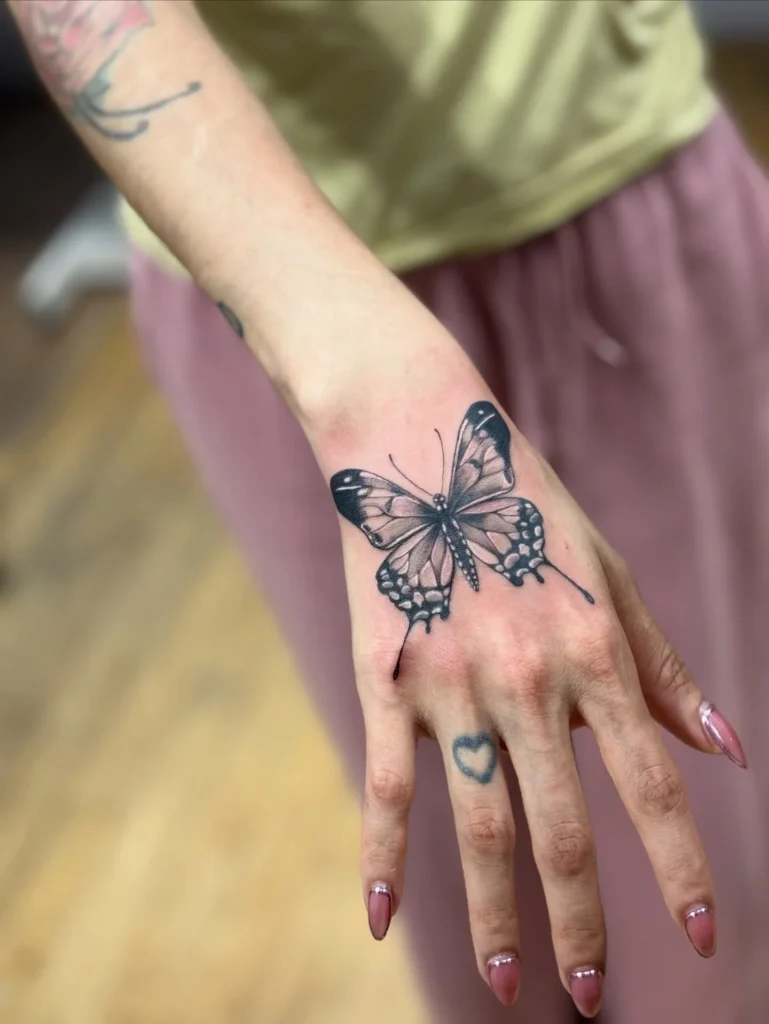 Soft Shaded Swallowtail Butterfly
