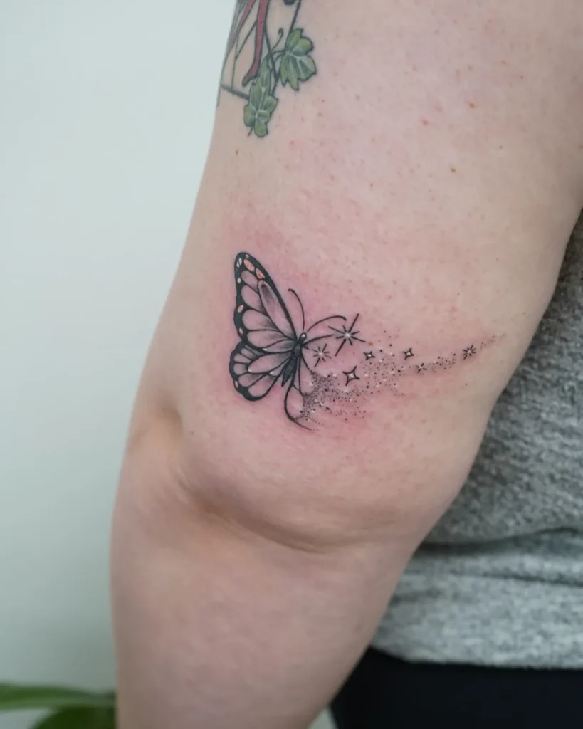 The Ethereal Stardust Butterfly
