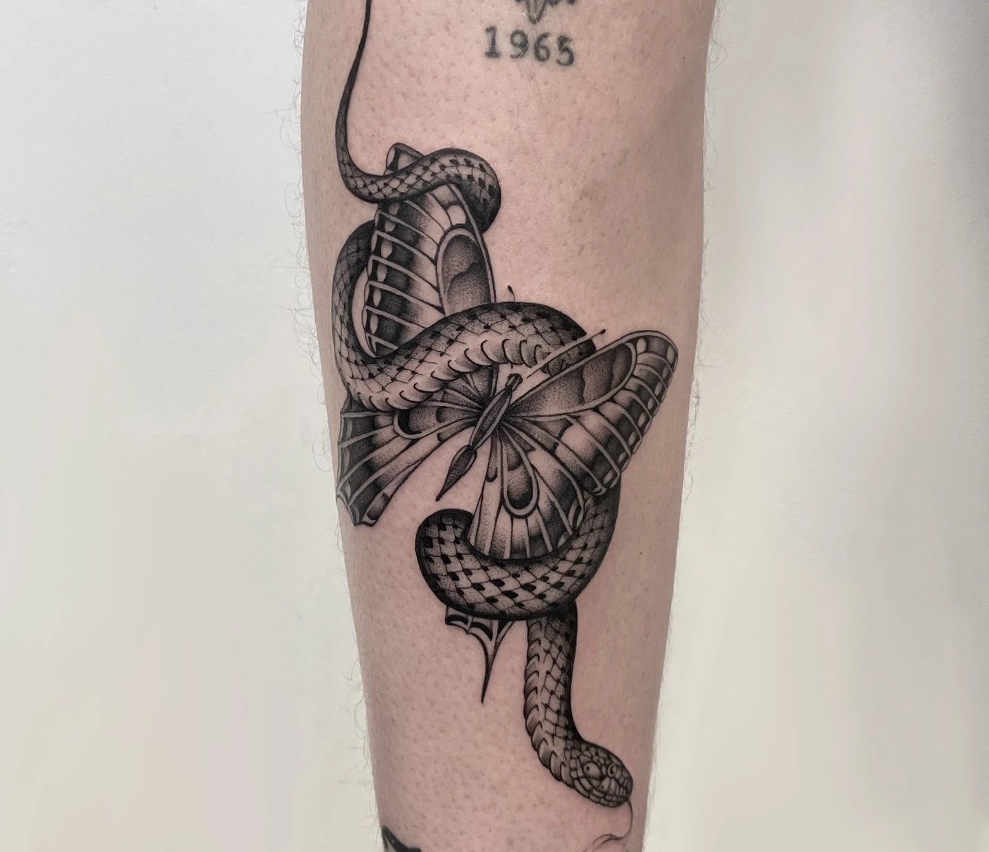 Butterfly and Snake Tattoo Ideas